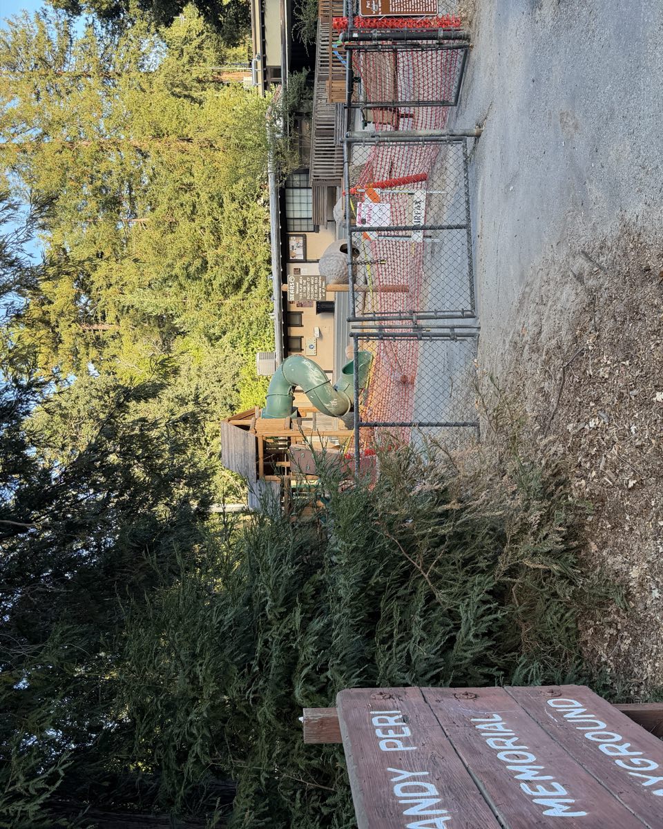 The Sandy Peri Memorial Playground behind chain link and orange fencing, the play structure empty.
